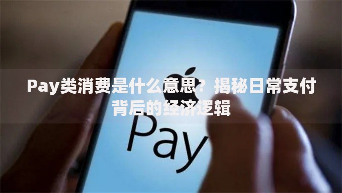 Pay类消费是什么意思？揭秘日常支付背后的经济逻辑