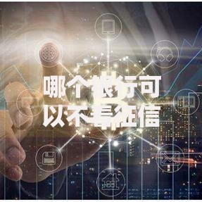 哪个银行可以不看征信贷款？如何申请？详细解析银行政策与替代方案