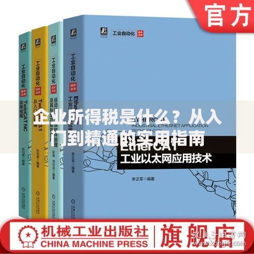 企业所得税是什么？从入门到精通的实用指南