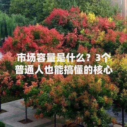 市场容量是什么？3个普通人也能搞懂的核心知识点