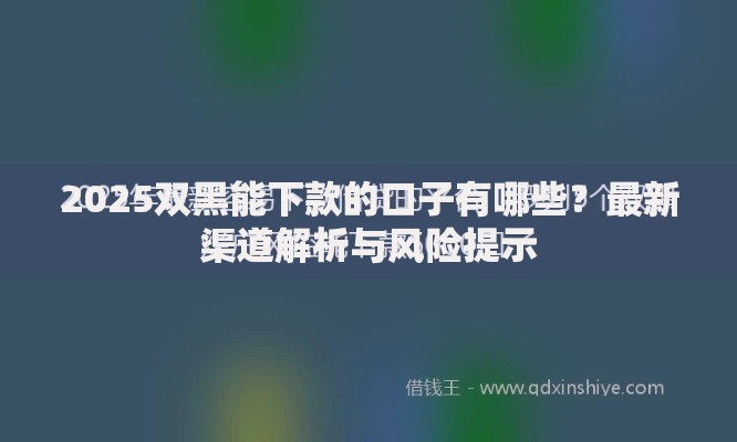 2025双黑能下款的口子有哪些？最新渠道解析与风险提示