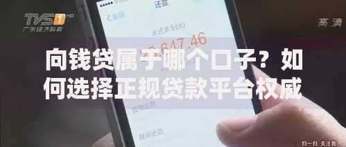 向钱贷属于哪个口子？如何选择正规贷款平台权威解析