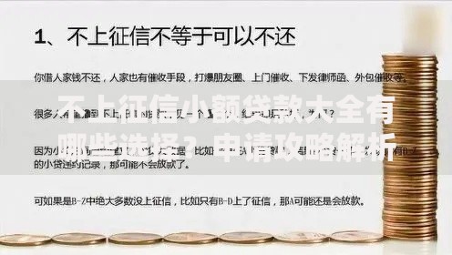 不上征信小额贷款大全有哪些选择？申请攻略解析