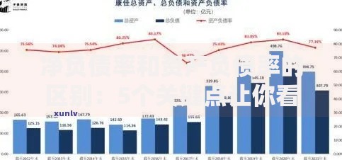 净负债率和资产负债率的区别：5个关键点让你看懂企业真实负债情况