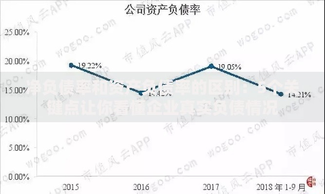 净负债率和资产负债率的区别：5个关键点让你看懂企业真实负债情况