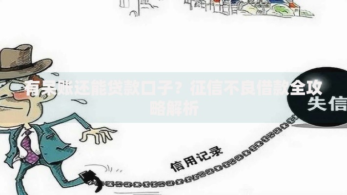有呆账还能贷款口子？征信不良借款全攻略解析