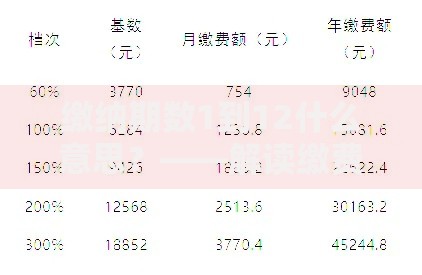 缴纳期数1到12什么意思？——解读缴费周期选择技巧与适用场景