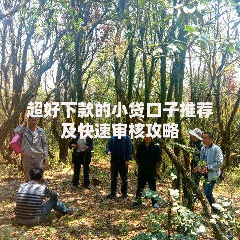 超好下款的小贷口子推荐及快速审核攻略