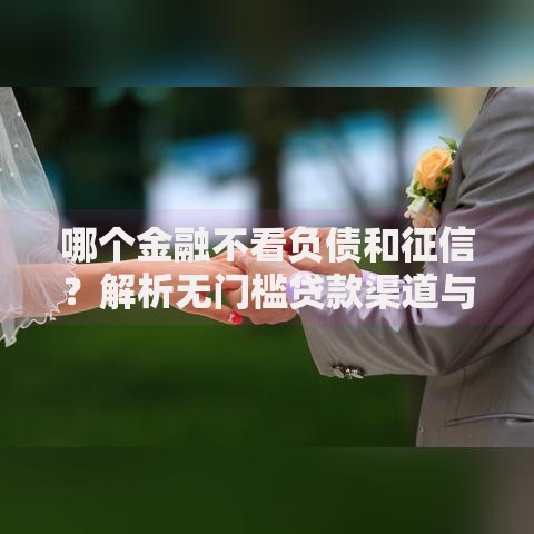 哪个金融不看负债和征信？解析无门槛贷款渠道与风险