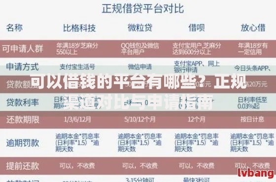 可以借钱的平台有哪些？正规渠道对比与申请指南