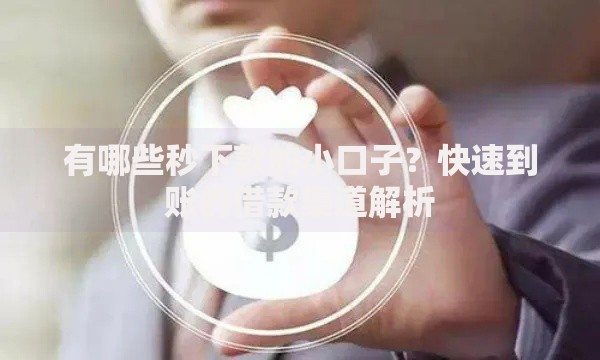 有哪些秒下款的小口子？快速到账的借款渠道解析