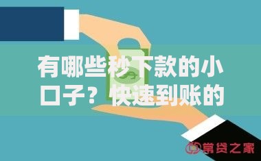 有哪些秒下款的小口子？快速到账的借款渠道解析