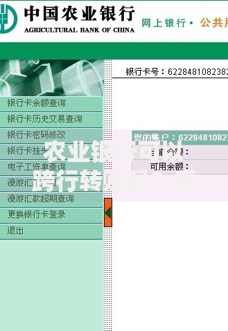 农业银行可以跨行转账吗？手把手教你操作流程和注意事项