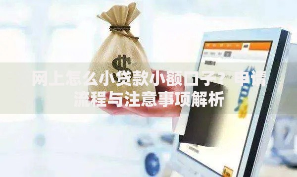 网上怎么小贷款小额口子？申请流程与注意事项解析