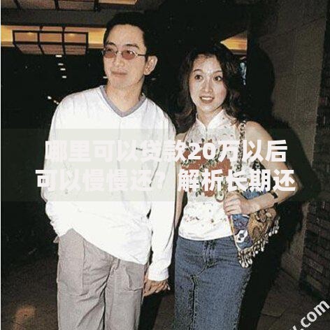 哪里可以贷款20万以后可以慢慢还？解析长期还款方案