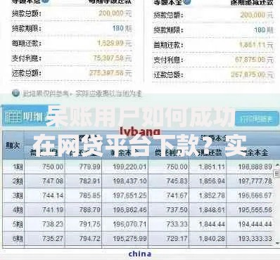 呆账用户如何成功在网贷平台下款？实战策略解析