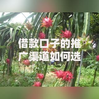借款口子的推广渠道如何选择？四大核心策略解析