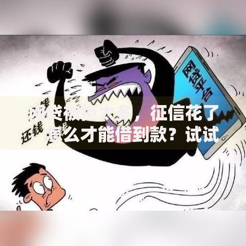 网贷被拒太多，征信花了，怎么才能借到款？试试这些补救方法！