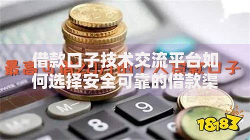 借款口子技术交流平台如何选择安全可靠的借款渠道与技巧解析