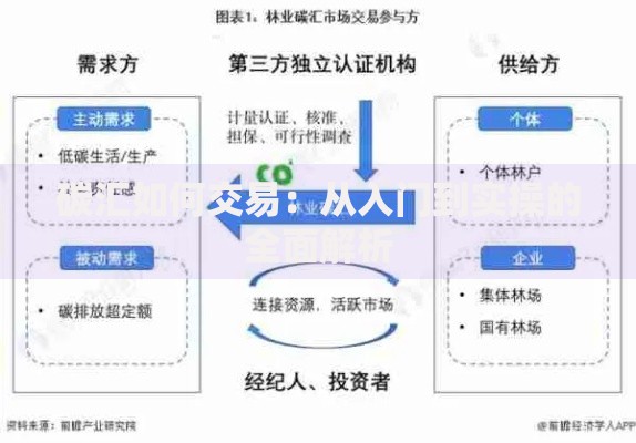 碳汇如何交易：从入门到实操的全面解析