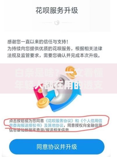 白条是啥？一文看懂年轻人都在用的透支消费神器