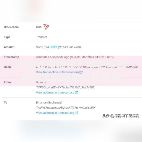 币安如何提现？手把手教你安全到账的操作秘诀