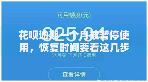 花呗逾期一个月被暂停使用,恢复时间要看这几步 花呗逾期一个月被暂停使用,恢复时间要看这几步