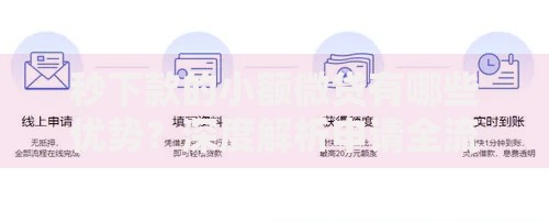 秒下款的小额微贷有哪些优势？深度解析申请全流程
