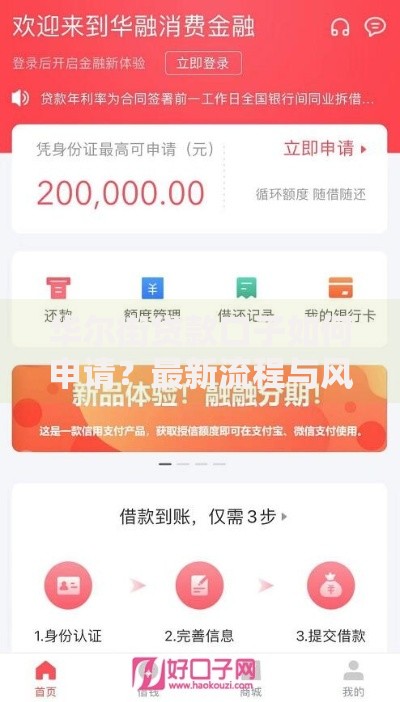 华尔街贷款口子如何申请？最新流程与风险解析