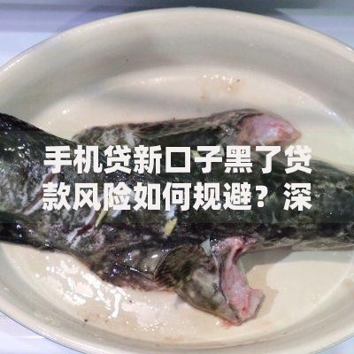 手机贷新口子黑了贷款风险如何规避？深度解析