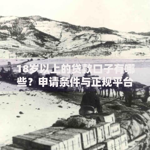 18岁以上的贷款口子有哪些？申请条件与正规平台解析