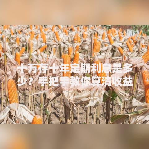 十万存十年定期利息是多少？手把手教你算清收益与技巧