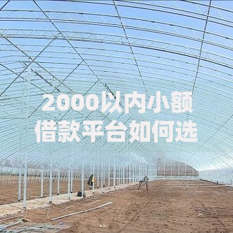 2000以内小额借款平台如何选择？正规渠道与避坑指南