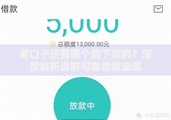 老口子还有哪个能下款的？深度解析当前可靠借款渠道