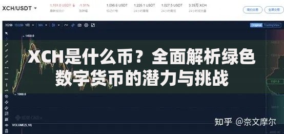 XCH是什么币？全面解析绿色数字货币的潜力与挑战