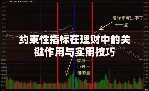 约束性指标在理财中的关键作用与实用技巧
