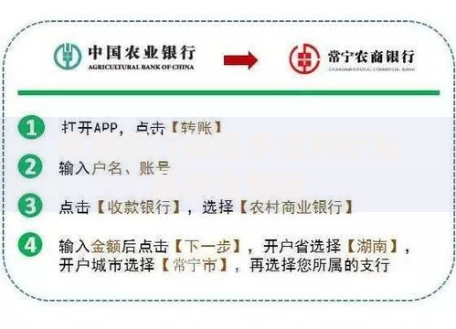 农商银行转账手续费标准最新全解析