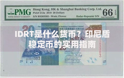 IDRT是什么货币？印尼盾稳定币的实用指南