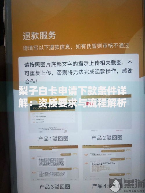 梨子白卡申请下款条件详解：资质要求与流程解析
