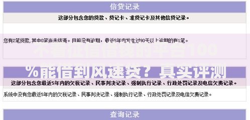 不看征信借钱的平台100%能借到风速贷？真实评测与避坑指南