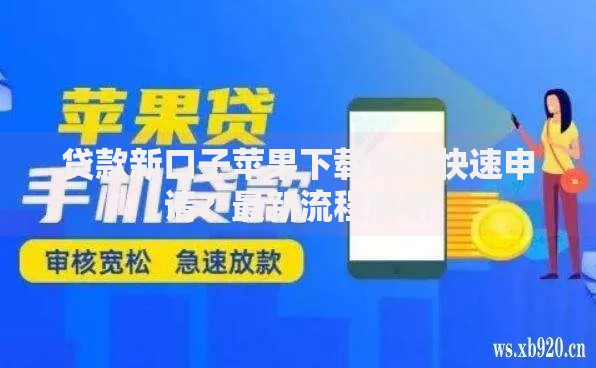 贷款新口子苹果下载如何快速申请？最新流程解析