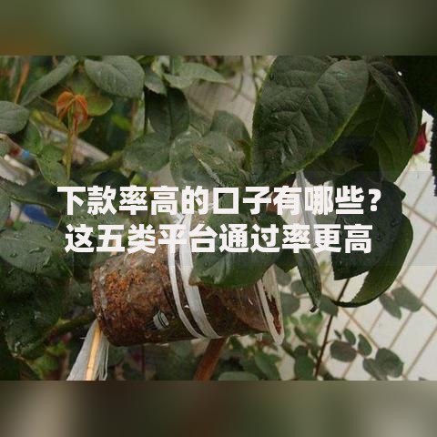 下款率高的口子有哪些？这五类平台通过率更高