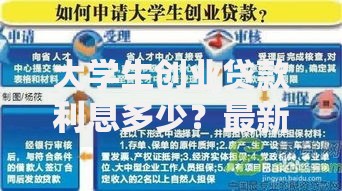 大学生创业贷款利息多少？最新政策解读与申请技巧分享