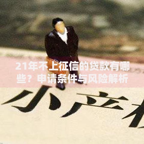 21年不上征信的贷款有哪些?申请条件与风险解析 21年不上征信的贷款有哪些?申请条件与风险解析