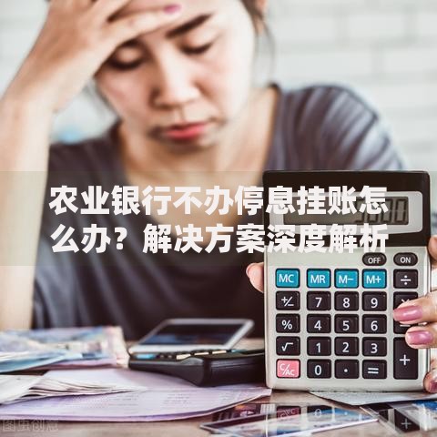 农业银行不办停息挂账怎么办？解决方案深度解析