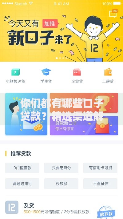 你们都有哪些口子贷款？精选渠道解析与申请指南