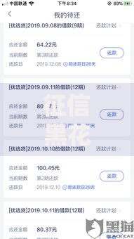 征信黑花了拍拍贷能下款吗？审核标准与借款策略深度解析