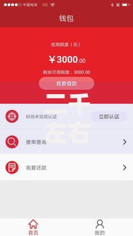 二千左右贷款口子有哪些选择？低门槛快速到账详解