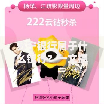 苏宁银行属于什么银行？一文搞懂它的定位与特色服务