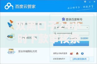 双黑口子24小时下款审核条件及风险规避全解析